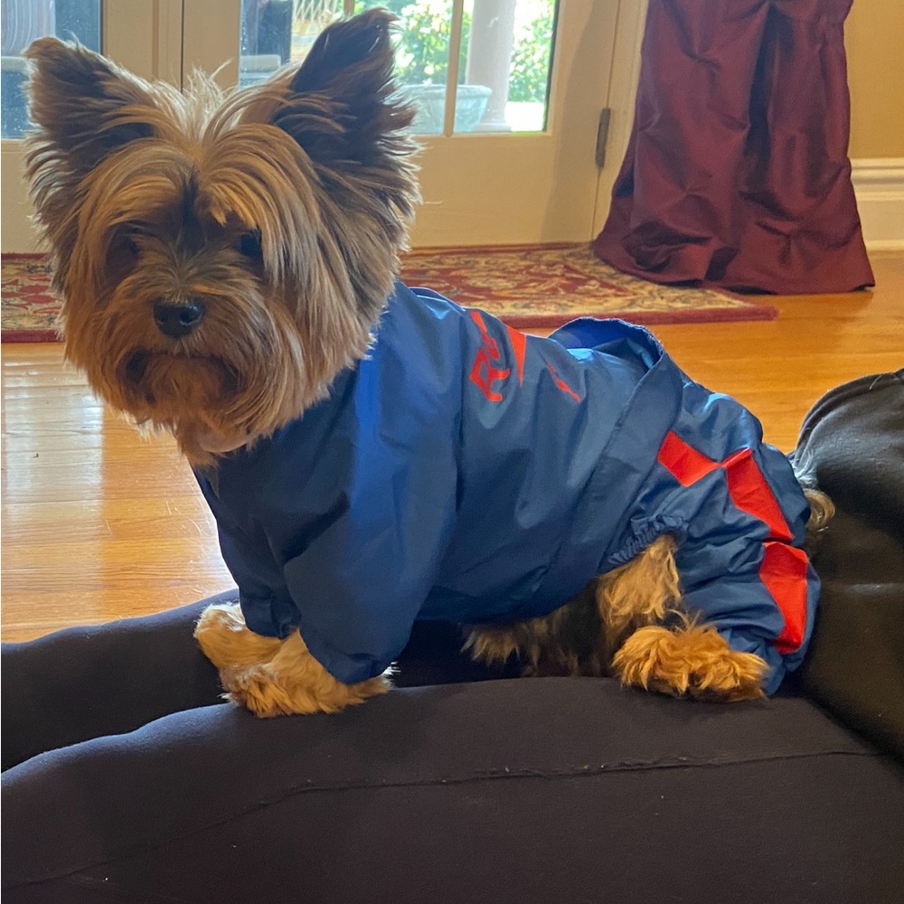Reebok Blue and Red Dog outfit.